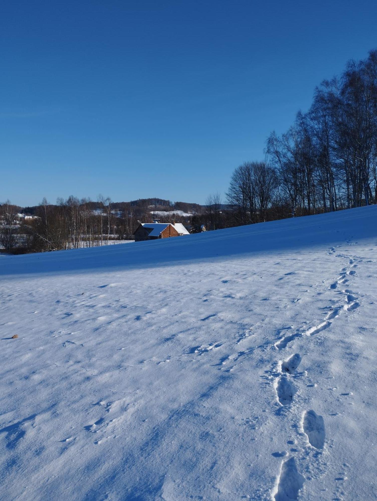 Zimmeruv Statek Mikulášovice Kültér fotó